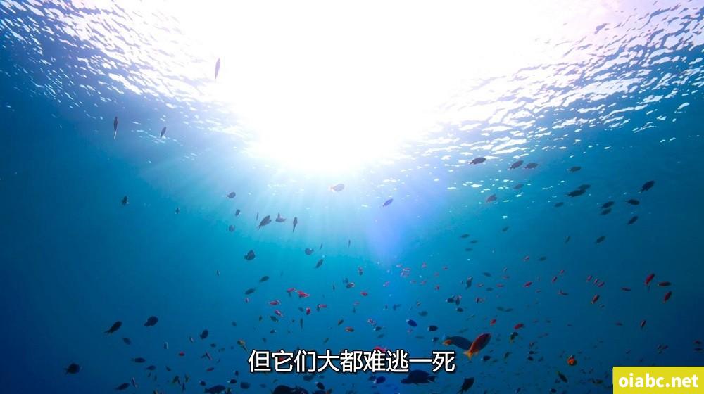 谷露影院121剧照3